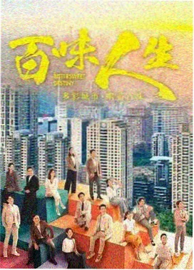 雾港追凶 电视剧免费观看全集